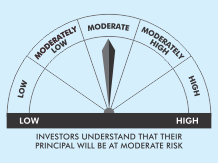 moderate high risk