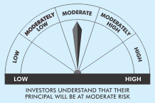 moderate high risk