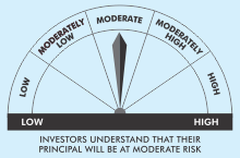 moderatel risk